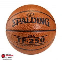 Spalding TF-250 Indoor/Outdoor Basketball