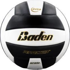 Baden VX5EC Perfection Leather Volleyball Other Sports